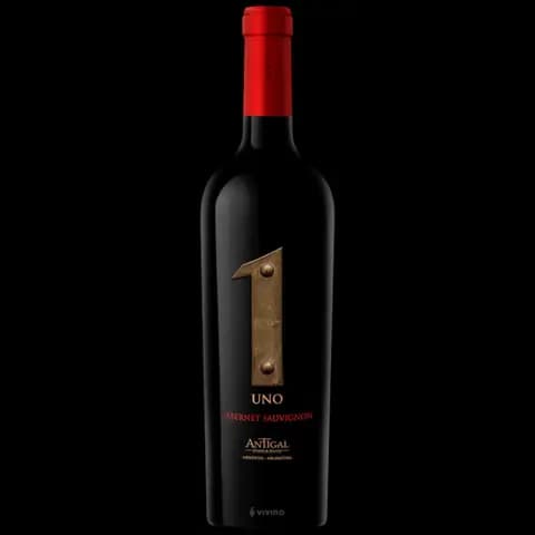 Vino argentino tinto