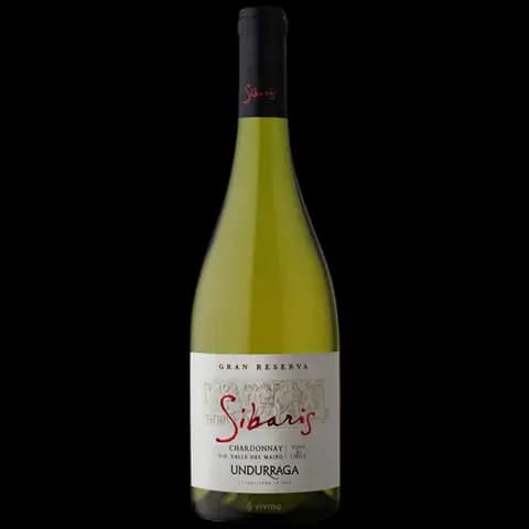 Vino chileno blanco