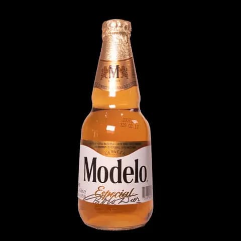 Modelo